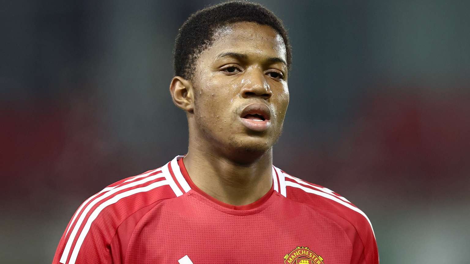 本文将深入 本文将深入