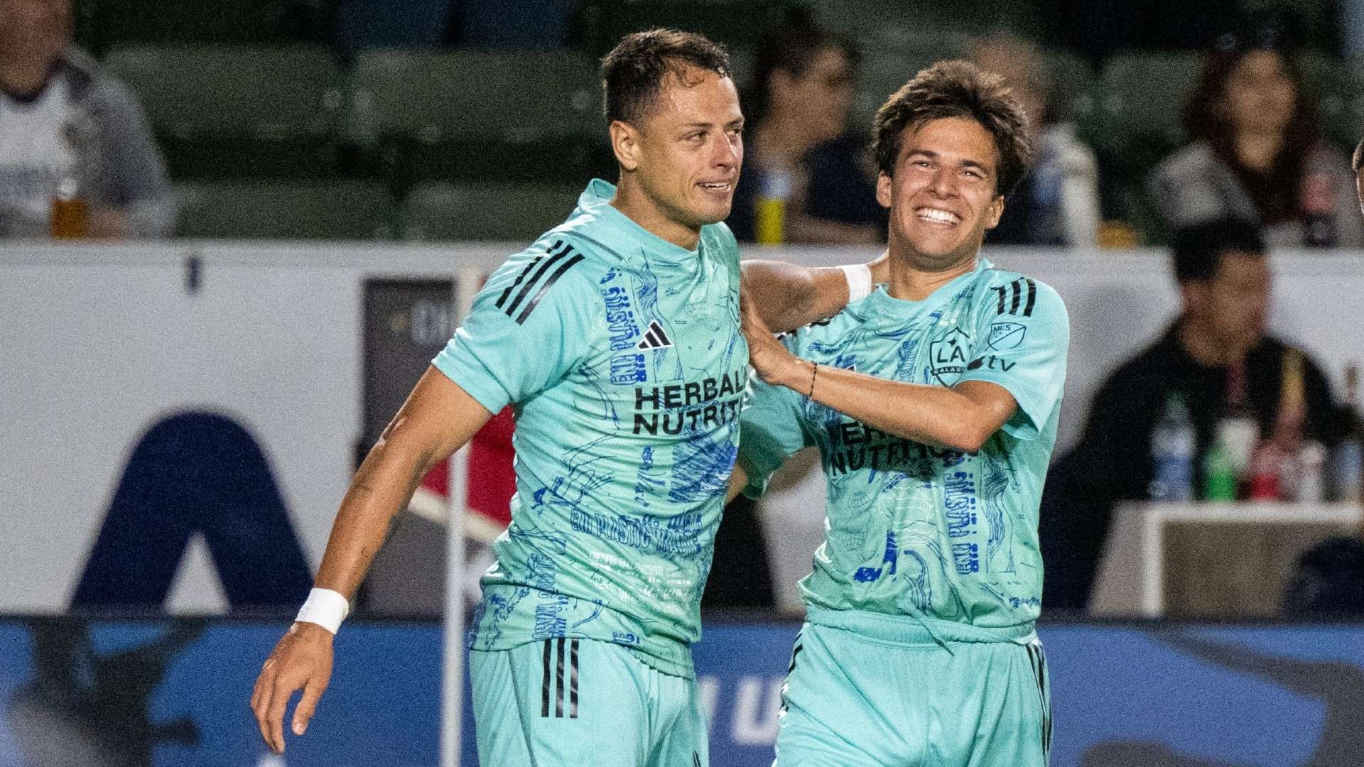 稳定的技术 稳定的技术