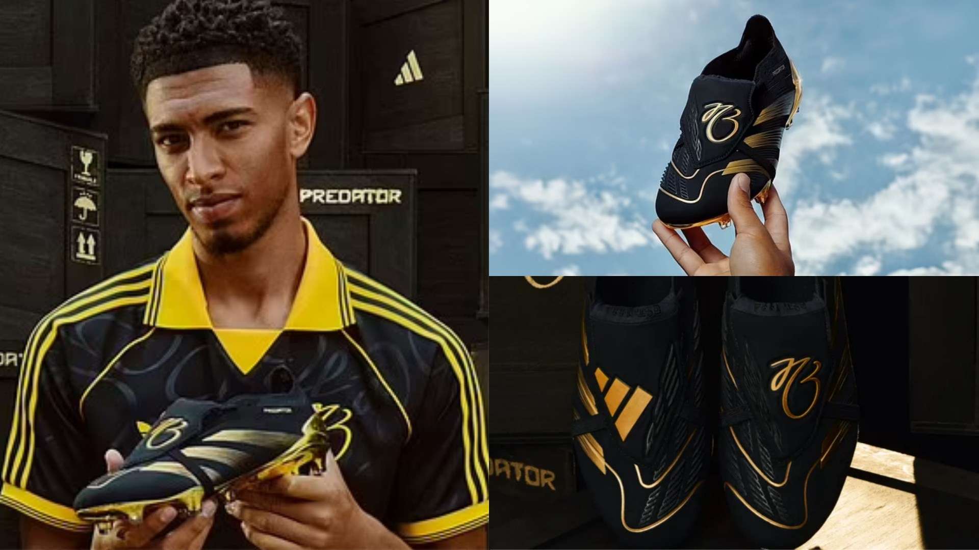 的评论员表 的评论员表